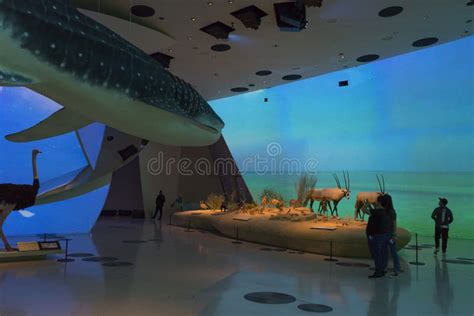 Interior View of the National Museum of Qatar in Doha, Qatar Editorial ...