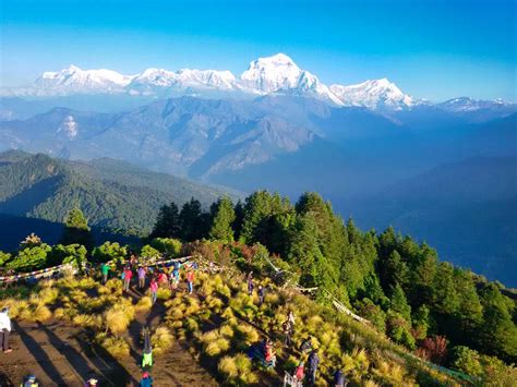 Ghorepani Poon Hill Trek | 3210 M | Poonhill Details Guide-Travel Umpire