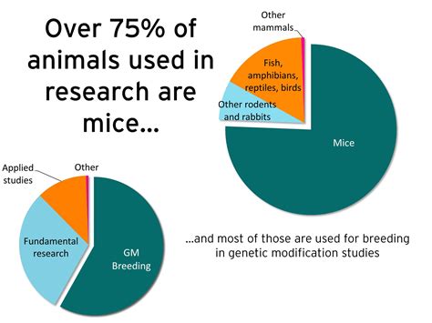 Animal Testing Statistics