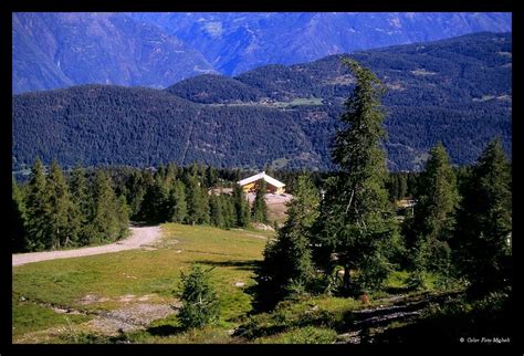 APRICA INFO AND PHOTO