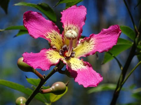 Florida Botanical Gardens Tours - Book Now | Expedia