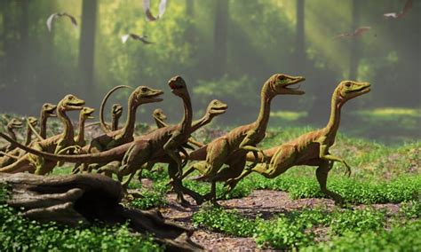 Compsognathus - A-Z Animals