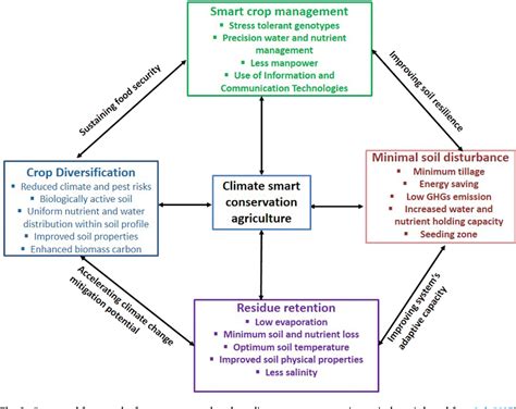 [PDF] Soil salinity under climate change: Challenges for sustainable ...