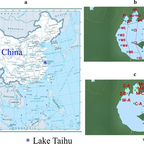 The map for Lake Taihu and the sampling sites in Western Lake Taihu. a... | Download Scientific ...