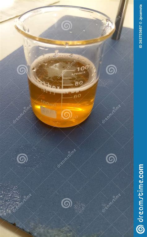 Laboratory Equipment. Beaker with Sample Stock Image - Image of liqueur, whisky: 263753687