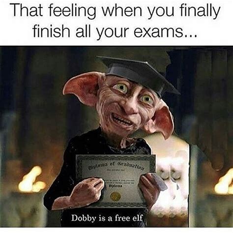 Dobby got a sock from his master - Meme Guy