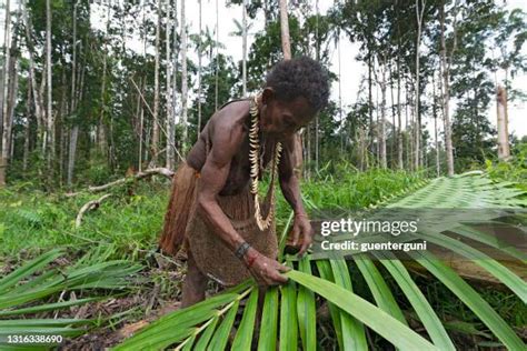 64 Korowai Tribe Stock Photos, High-Res Pictures, and Images - Getty Images