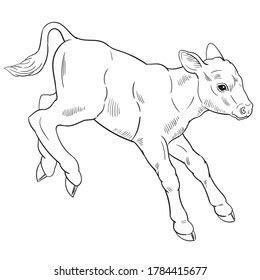 21+ Thousand Calf Drawing Royalty-Free Images, Stock Photos & Pictures | Shutterstock