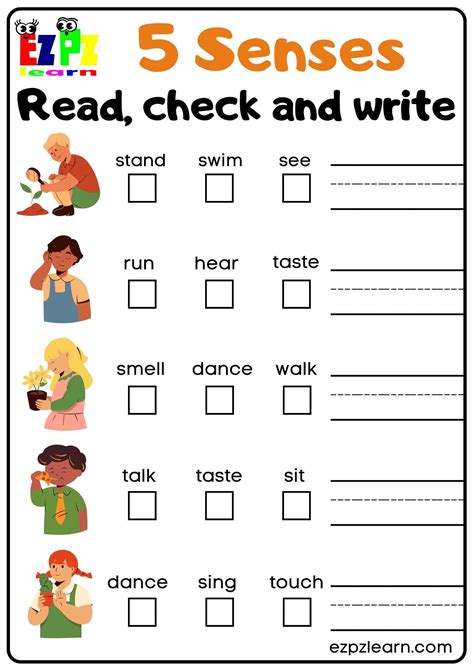 Five Senses Worksheets For Kindergarten