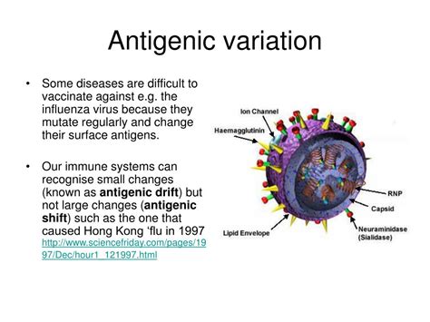 PPT - Immunity and Vaccinations PowerPoint Presentation, free download - ID:4626223