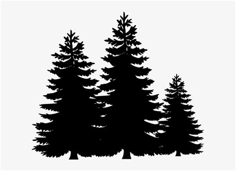 Svg Stock Evergreen Tree Line Clipart - Pine Tree Silhouette ...