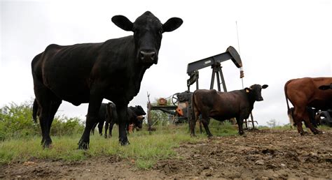 Abandoned oil wells could be a major source of methane pollution - Business Insider