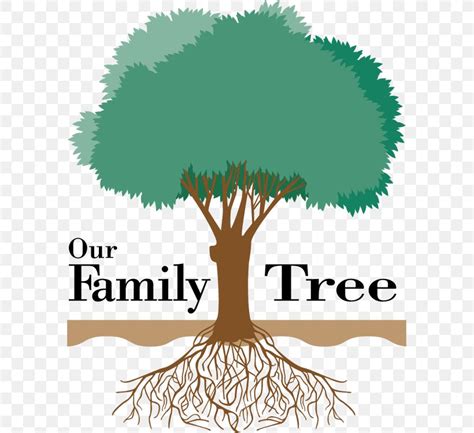 Family Tree Genealogy Ancestor Clip Art, PNG, 588x750px, Family Tree, Ancestor, Ancestrycom Inc ...