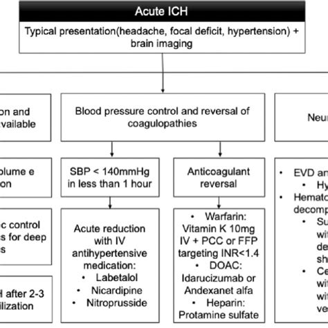 (PDF) Intracerebral hemorrhage: update and future directions