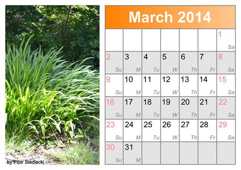 Calendar Month March 2014 Free Stock Photo - Public Domain Pictures