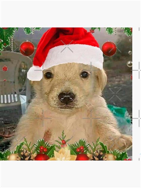 "dog meme christmas" Sticker by valwerty | Redbubble