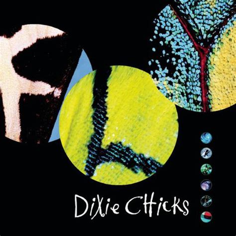 Dixie Chicks - Fly - Reviews - Album of The Year