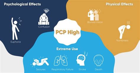 PCP [Angel Dust] Abuse Treatment | Detox To Rehab