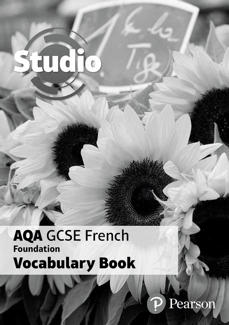 Studio AQA GCSE French Foundation Vocabulary Book (pack of 8)