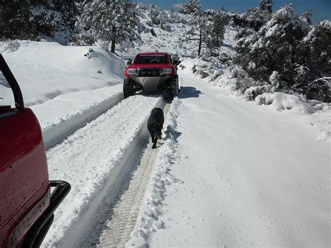 All-Pro in Idyllwild, CA - Snow Run! | TTORA Forum