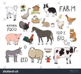 Farm Animals Color Set Stock Vector (Royalty Free) 579993562 | Shutterstock