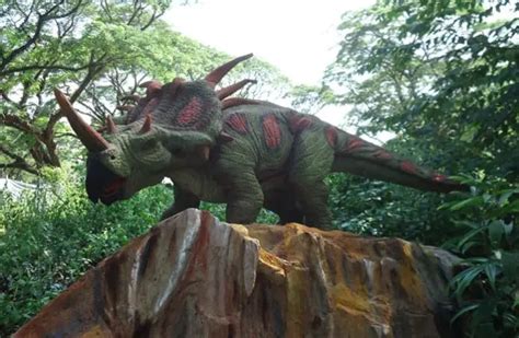 Triceratops - Description, Habitat, Image, Diet, and Interesting Facts