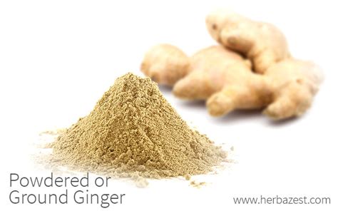 Powdered or Ground Ginger | HerbaZest