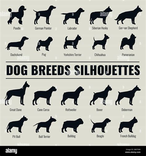 Dog Silhouettes SVG Vector Dog Silhouette Clipart Dog Silhouette Cut ...