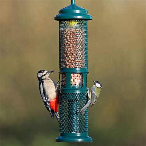 Squirrel Proof Nut & Nibble Feeder - RSPB Shop