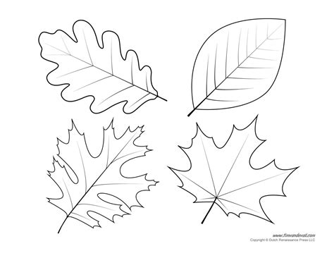 Images Of Leaves To Color