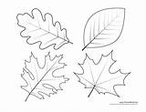 Coloring Pages Leaves Free Printables  JoannaecDorsey sketch template