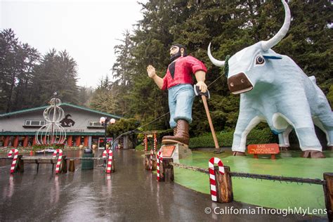 Trees of Mystery: Giant Paul Bunyan, Crazy Trees and a Gondola Ride ...