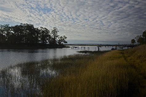 Tidal Marsh Photograph by Chris Burke - Fine Art America