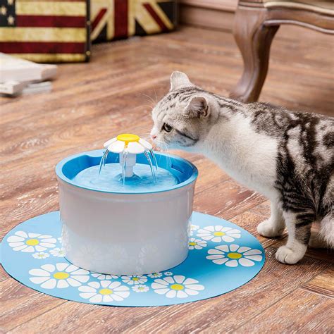 The Best Cat Water Fountains in 2023 | PawGearLab