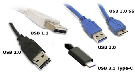 Mathematik links Qualität usb 3 1 Ausstellung Sonnenblume zart