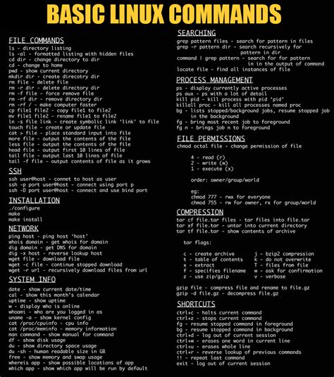 Basic Linux Commands - GoOribi Inc.