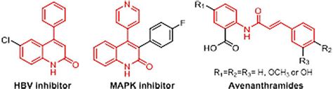 (Color online) Natural and synthetic amides with significant biological ...