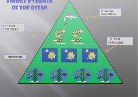 Ocean Energy Pyramid - Marine Life