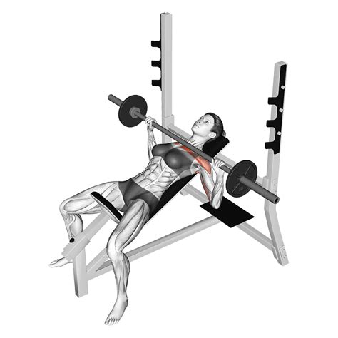 Incline Barbell Bench Press: Benefits, Muscles Worked, and More ...