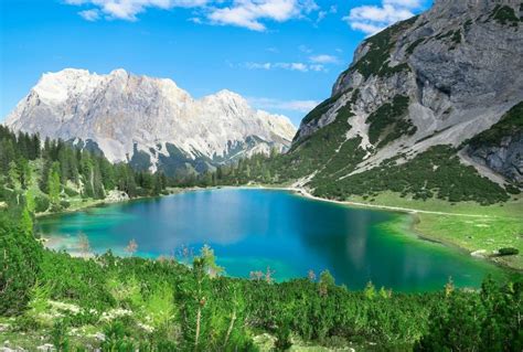 Go Slow in the Austrian Alps - Naturetrek