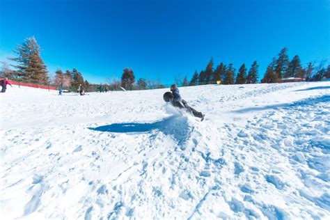 Capulin Snow Play Area at the Sandia Crest – The Lobo Life