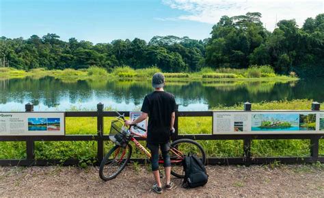 Cycling on Pulau Ubin — A Scenic 9-Hour Route Around The Island's Best ...