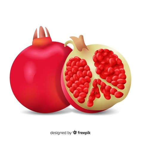 Free Vector | Pomegranate