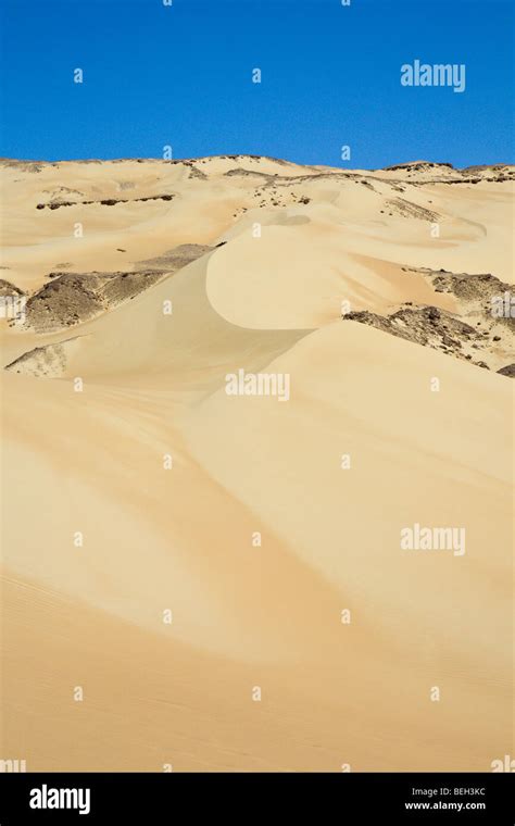 Oasis in libyan desert hi-res stock photography and images - Alamy