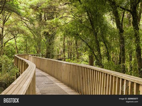 Canopy Walkway, 14 Image & Photo (Free Trial) | Bigstock