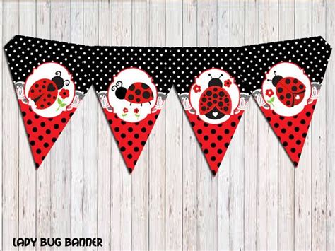 Ladybug 1st Birthdays, Ladybug Birthday Party, Girls Birthday Party, Happy Birthday Lettering ...