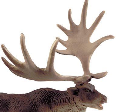 Megaloceros (Irish elk) from Bullyland, part of the prehistoric animal model series ...