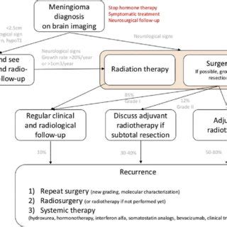 (PDF) Current treatment options for meningioma