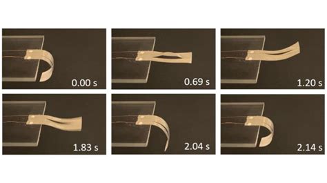 Engineers create a rapid-snapping thermal actuator