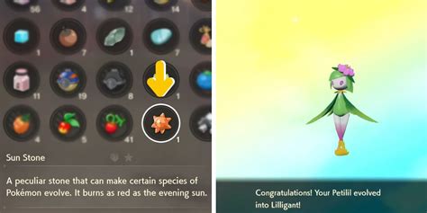 How To Evolve Petilil in Pokémon Legends: Arceus